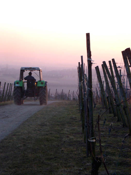 016_3l-eck_fischingen