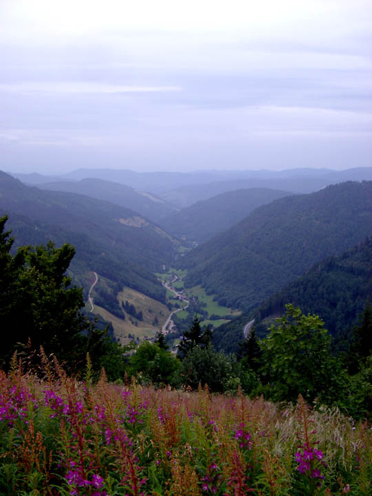 0279_bs_feldberg