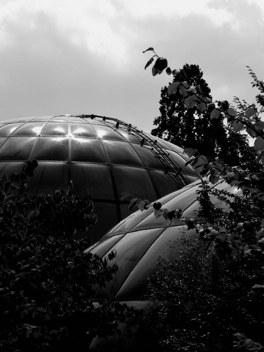 0584sw_bs_zh_botanischer_garten