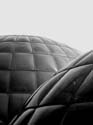 0580sw_bs_zh_botanischer_garten