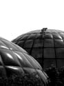 0581sw_bs_zh_botanischer_garten