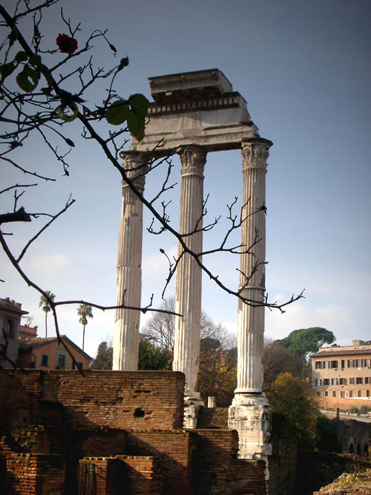 037rom_forum_romanum_tempio_di_castore_e_polluce