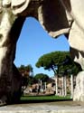 111rom_ostia_antica_forum